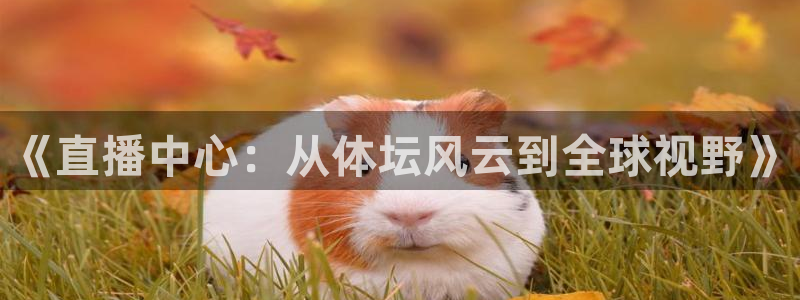 《直播中心：从体坛风云到全球视野》