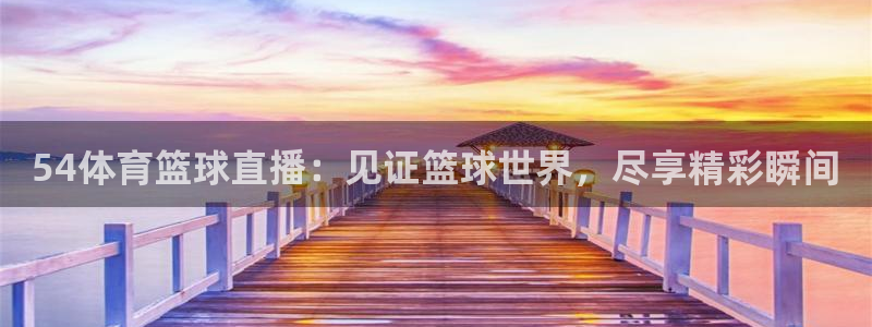 54体育篮球直播：见证篮球世界，尽享精彩瞬间
